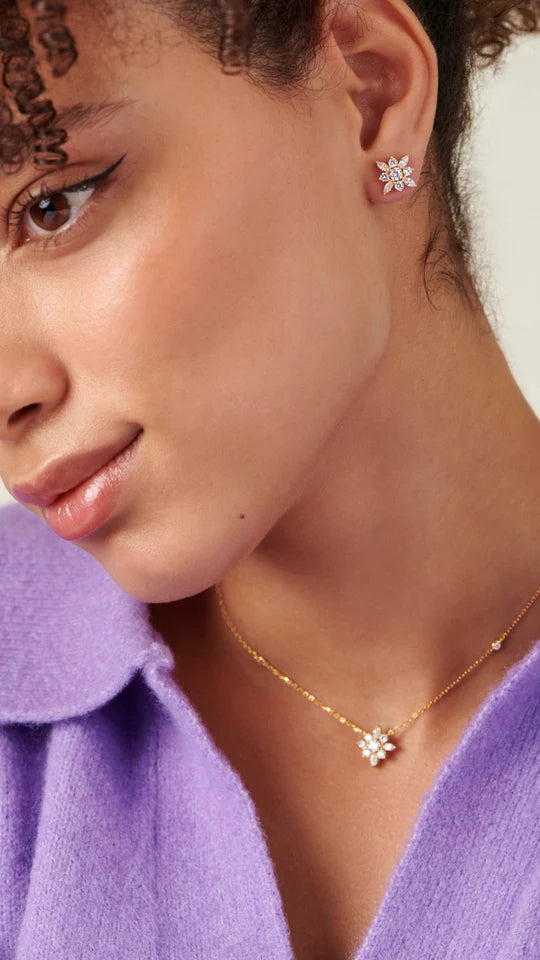 <tc>أقراط زهرة الثلج </tc>