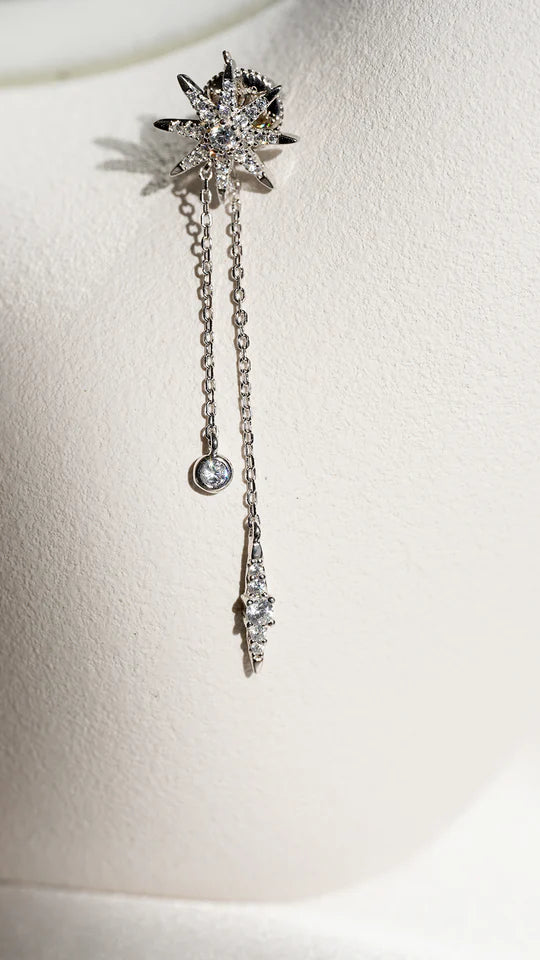 Palazzo Silver Earrings