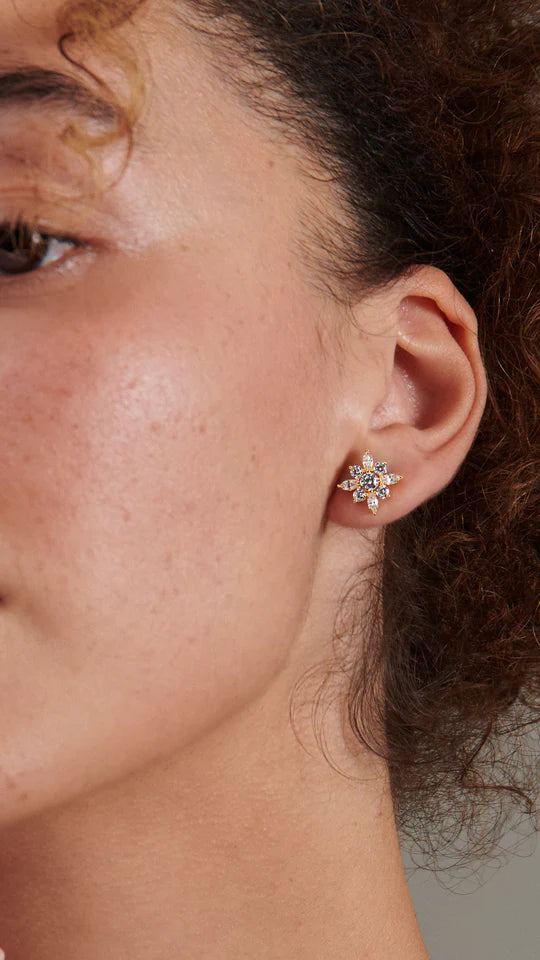 Snow Flower Zircon Stud Earring Gold plating