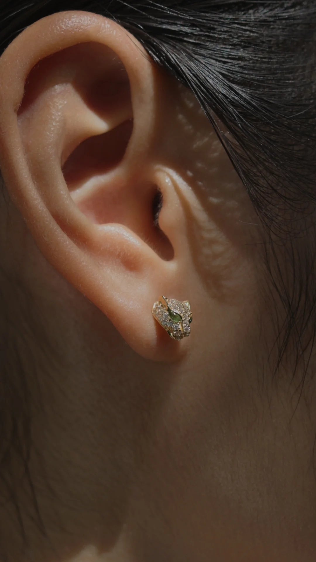 Stay Wild Tiger Earrings - ARTSY SILVER