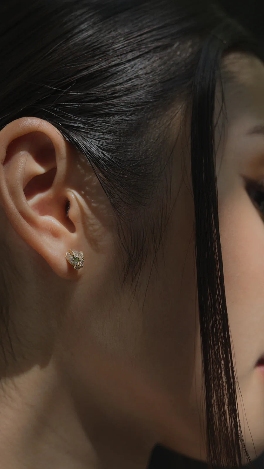 Stay Wild Tiger Earrings - ARTSY SILVER