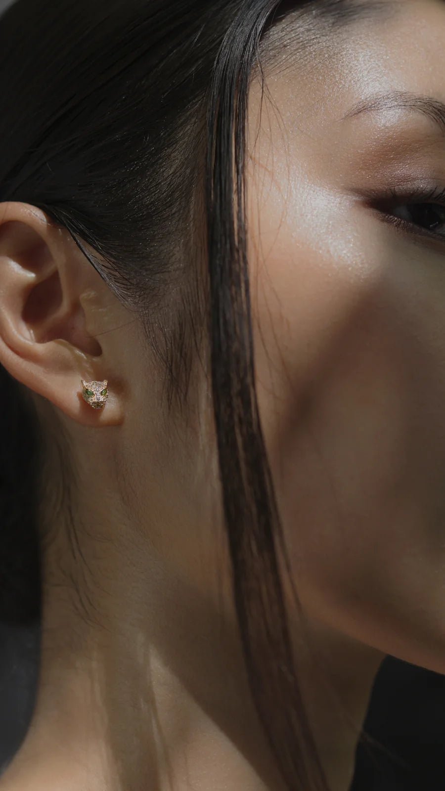 Stay Wild Tiger Earrings - ARTSY SILVER