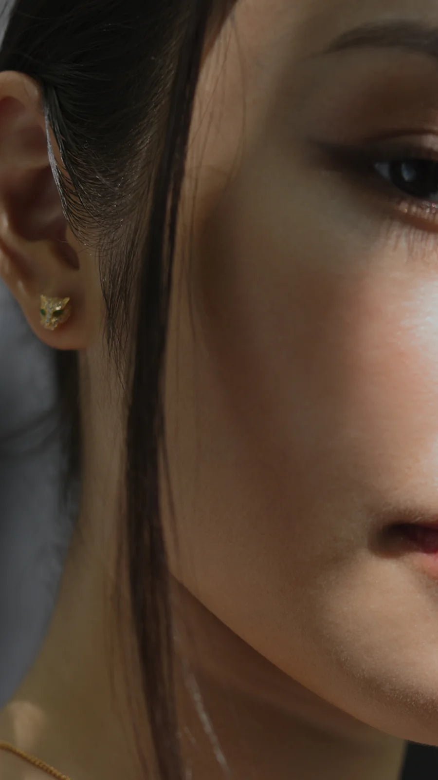 Stay Wild Tiger Earrings - ARTSY SILVER