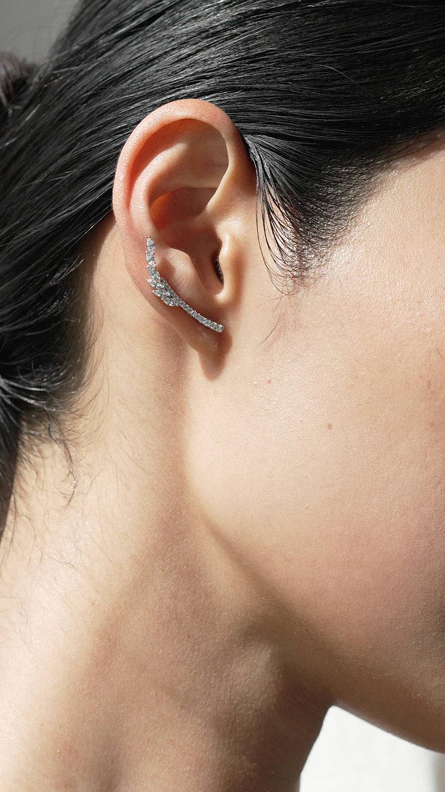 Leaf Silver Ear Climbers