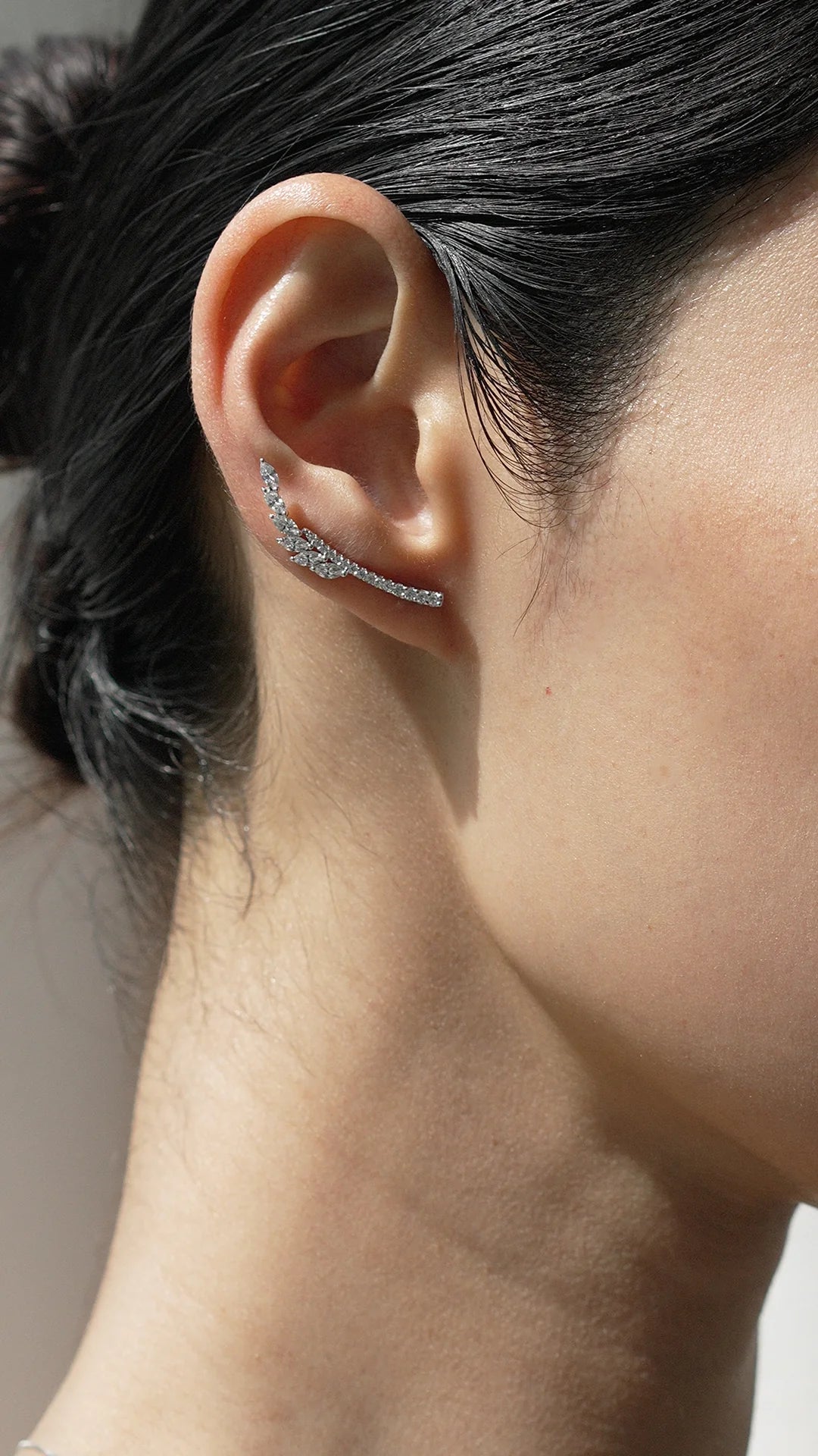 Leaf Silver Ear Climbers